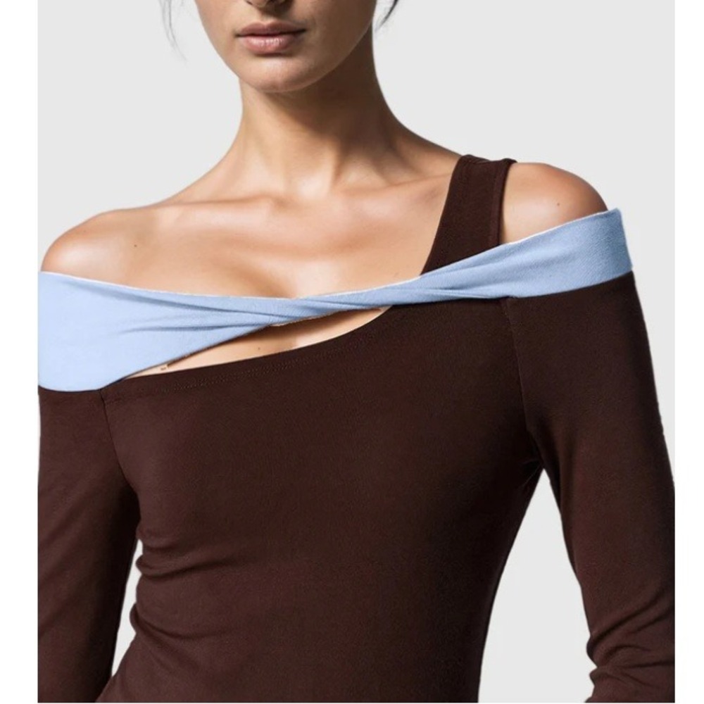 Brown and Light Blue Long Sleeve Women's Top